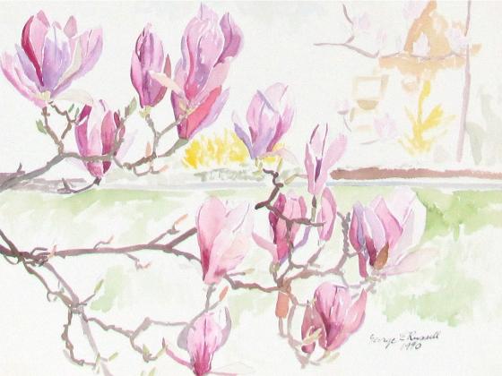Magnolia Blossoms, 1990